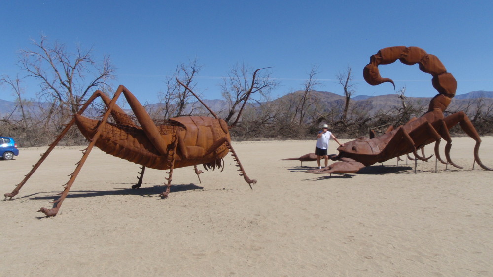 Preparing to do battle - a scorpion and an grasshopper