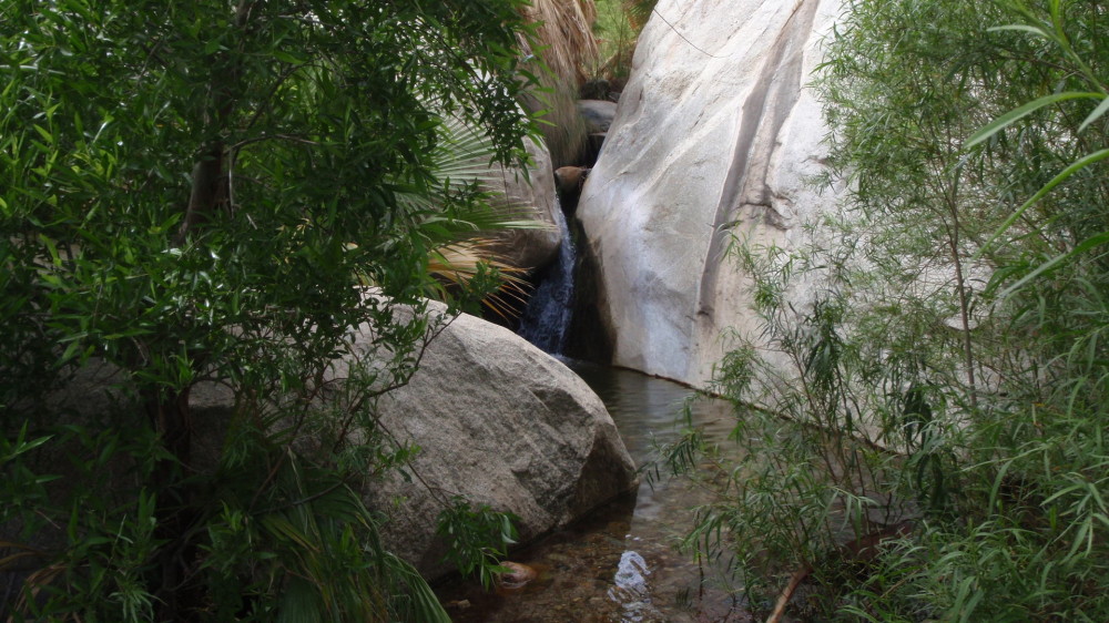 Clean spring water - this sets Borrego Springs apart from the surrounding desert park